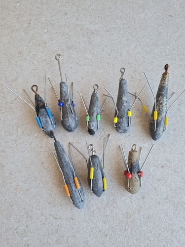 Distance carp fish fishing - fish,
