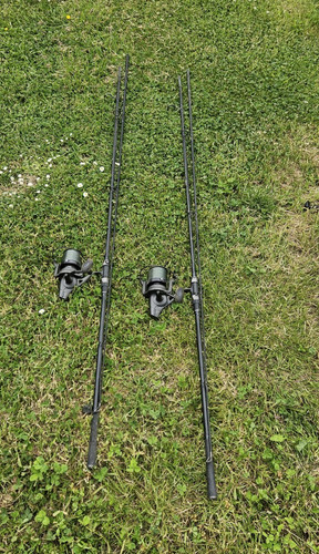 Carp fishing tackle - carp,