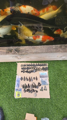100x carp fishing - fishing, lot