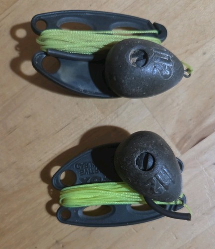 Pair fox captive back - back, leads