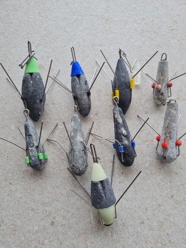 Distance carp fish fishing - distance,