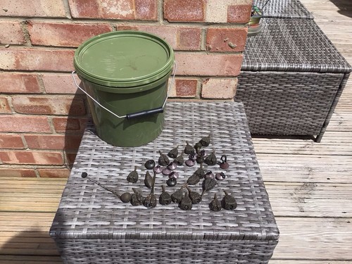 Bait bucket with - with, fox