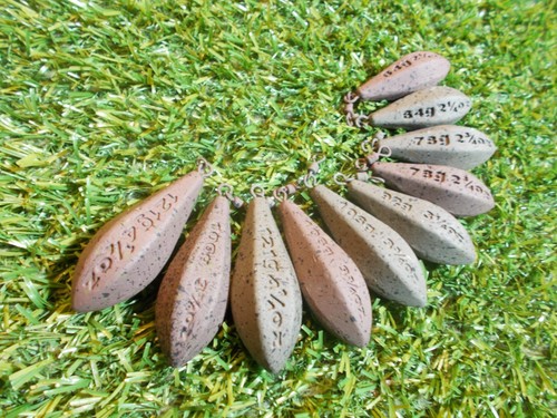 Fox carp fishing - fox,